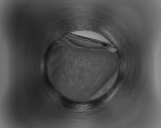 X0000092000213200710041013