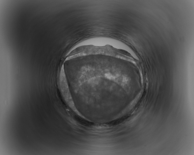 X0000092000215200710041013