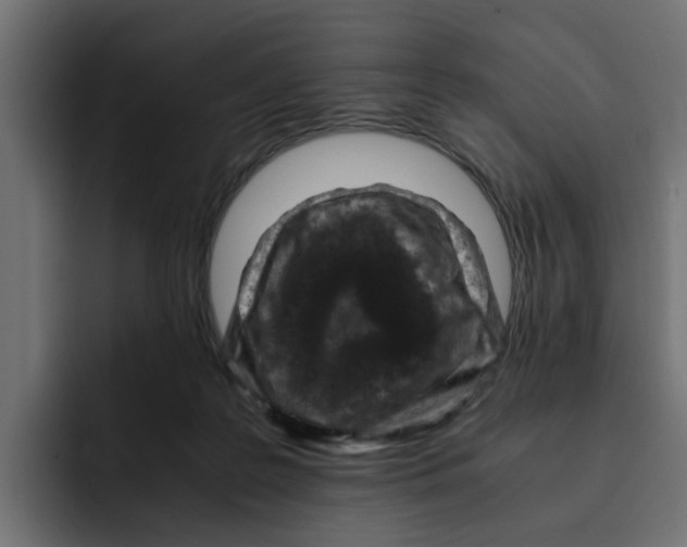 X0000092000219200710041013