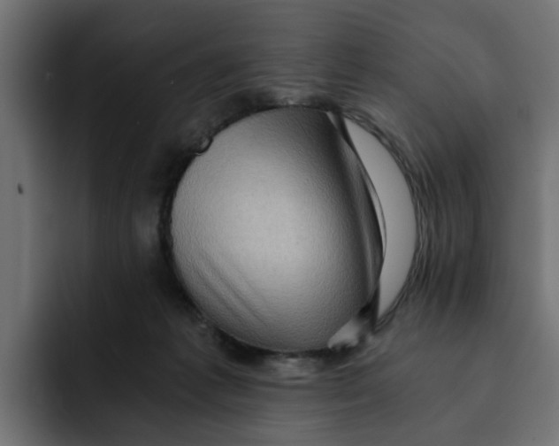 X0000092000221200710041013