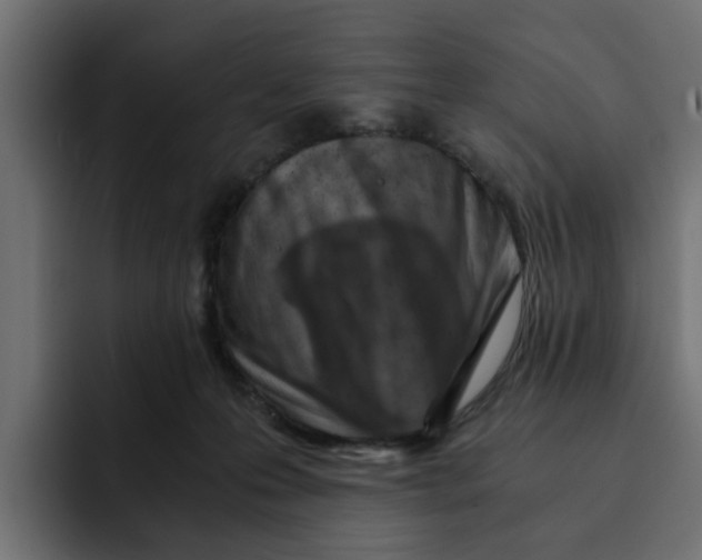 X0000092000223200710041013