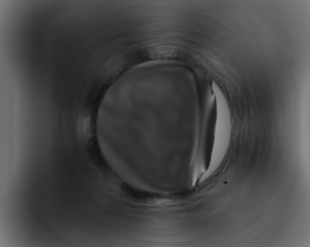 X0000092000224200710041013