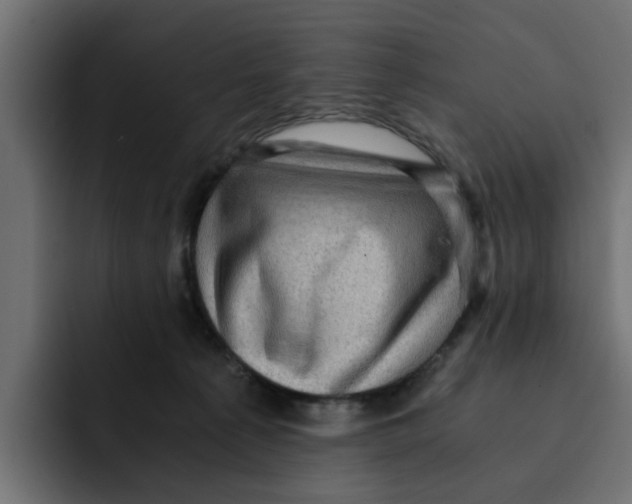 X0000092000225200710041013