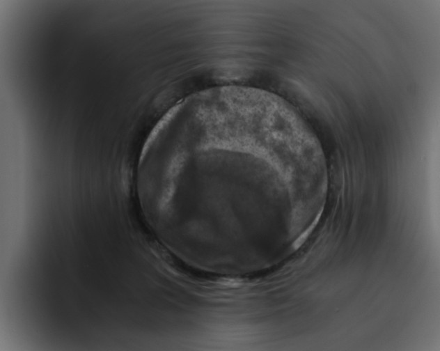 X0000092000227200710041013