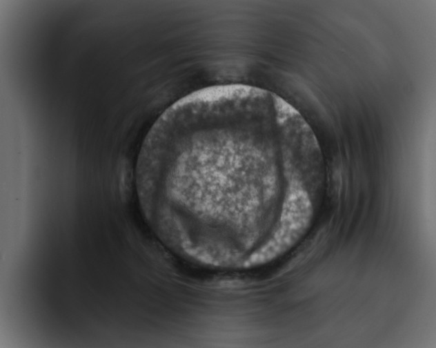 X0000092000228200710041013