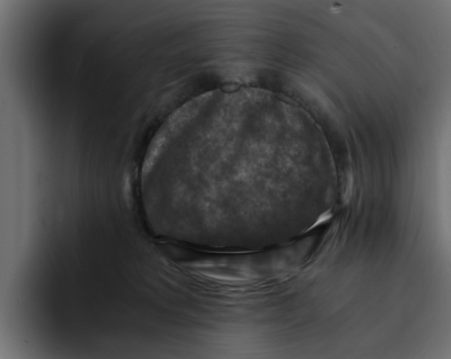 X0000092000229200710041013