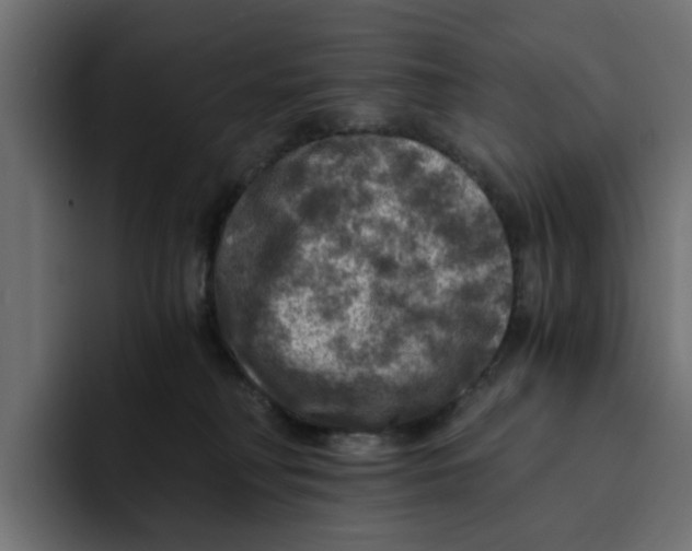 X0000092000230200710041013