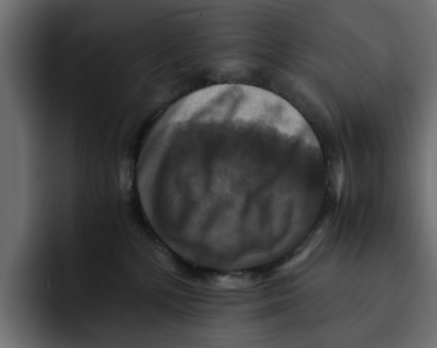 X0000092000232200710041013