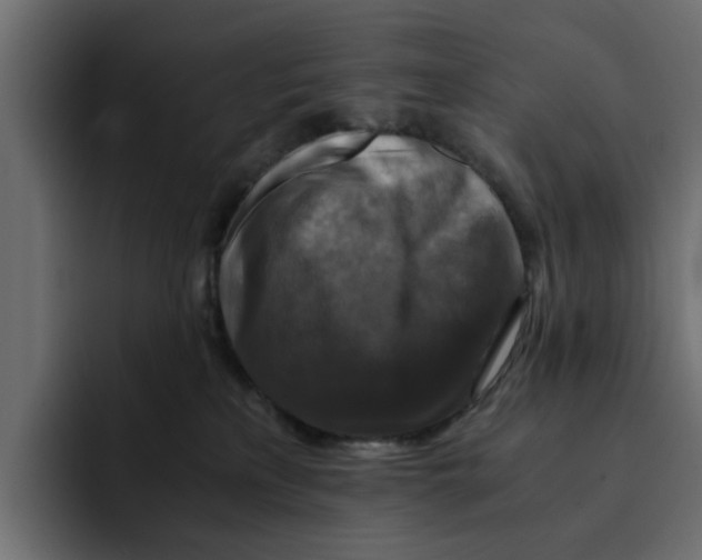 X0000092000233200710041013