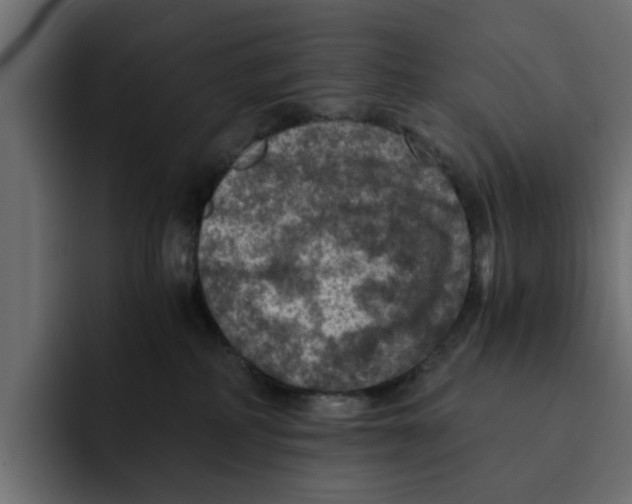 X0000092000234200710041013