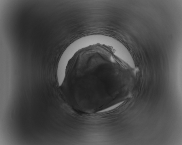 X0000092000235200710041013