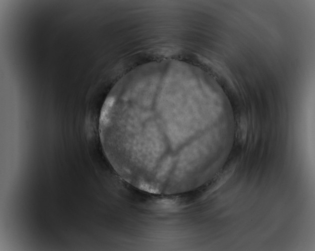 X0000092000236200710041013