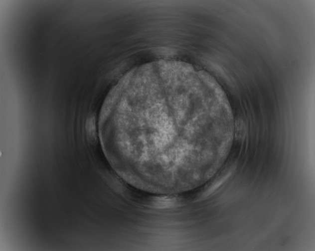 X0000092000238200710041013