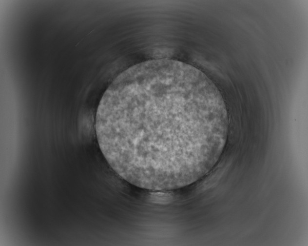 X0000092000240200710041013