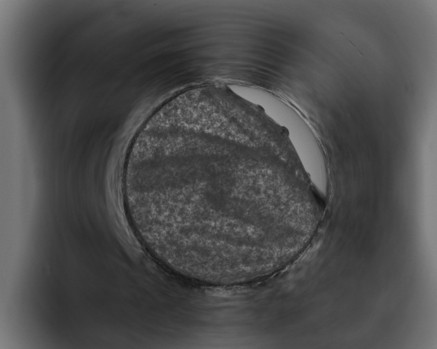 X0000092000241200710041012