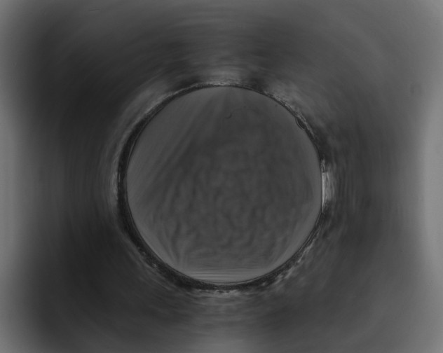 X0000092000243200710041012