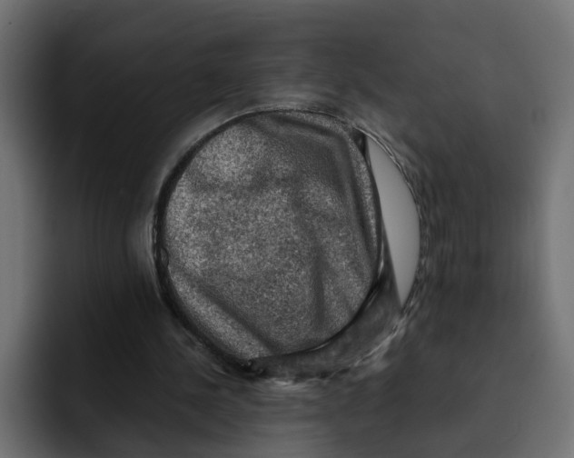 X0000092000244200710041012