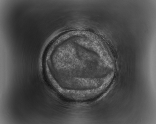 X0000092000246200710041012