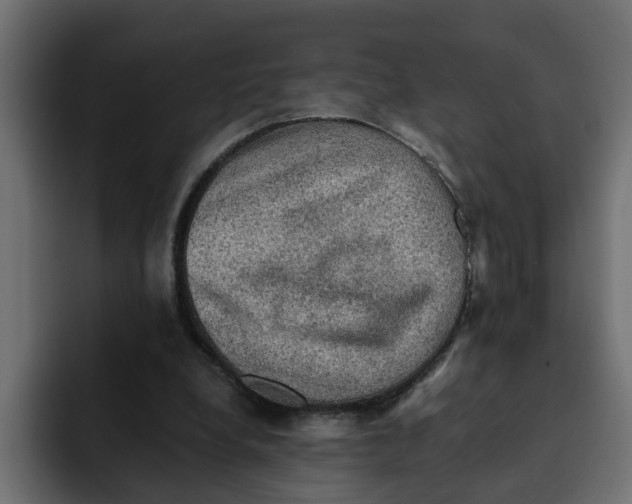 X0000092000248200710041012