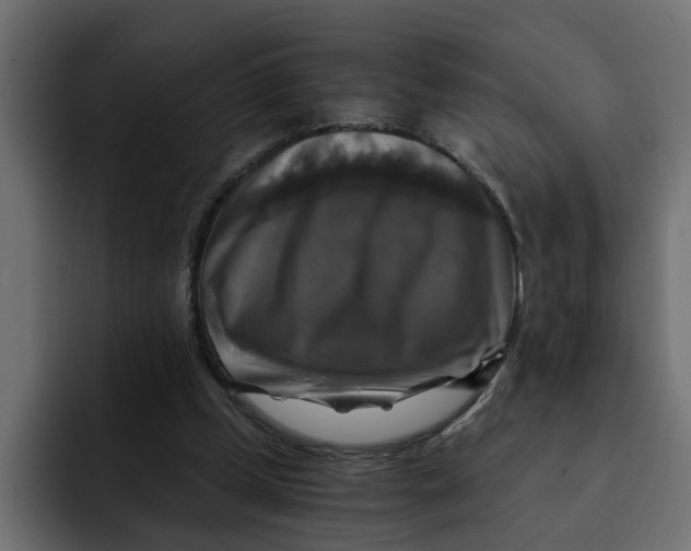 X0000092000249200710041012