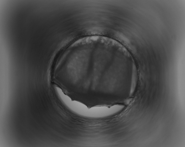 X0000092000250200710041012