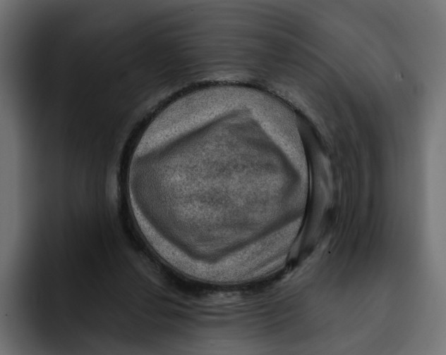 X0000092000252200710041013