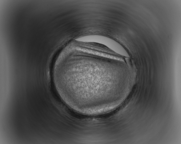 X0000092000254200710041013