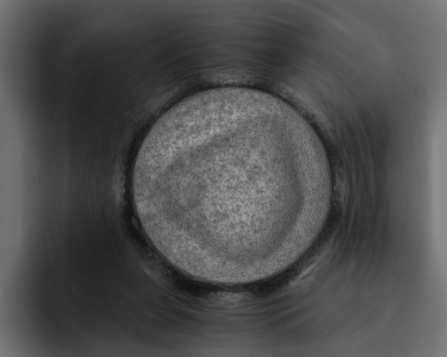 X0000092000255200710041013