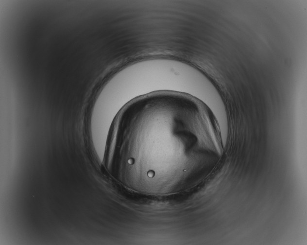 X0000092000256200710041013