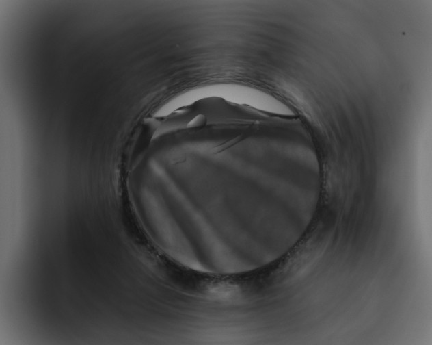 X0000092000258200710041013