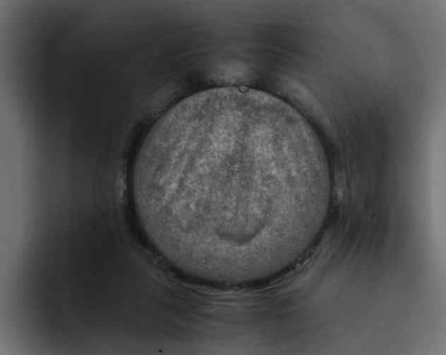 X0000092000259200710041013