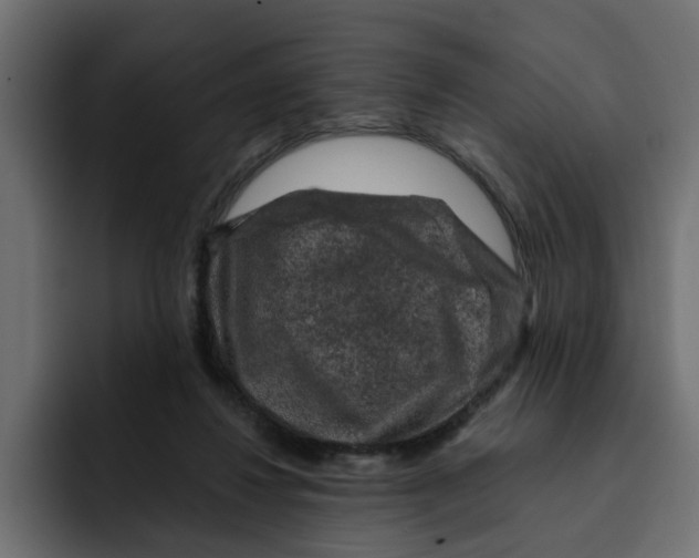 X0000092000260200710041013