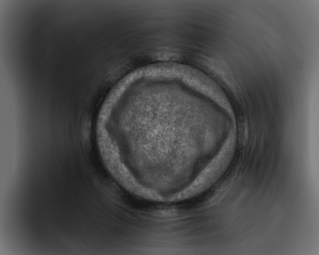 X0000092000263200710041013