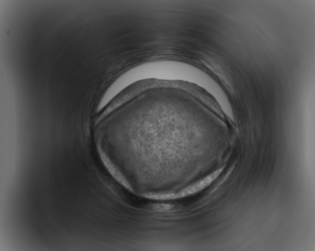 X0000092000265200710041013