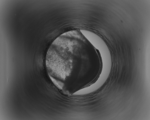 X0000092000266200710041013