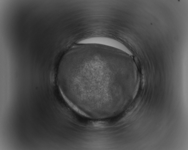 X0000092000268200710041013