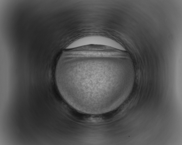 X0000092000270200710041013