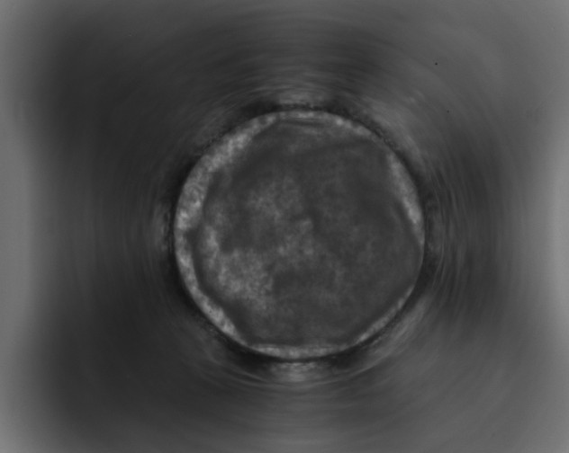 X0000092000273200710041013