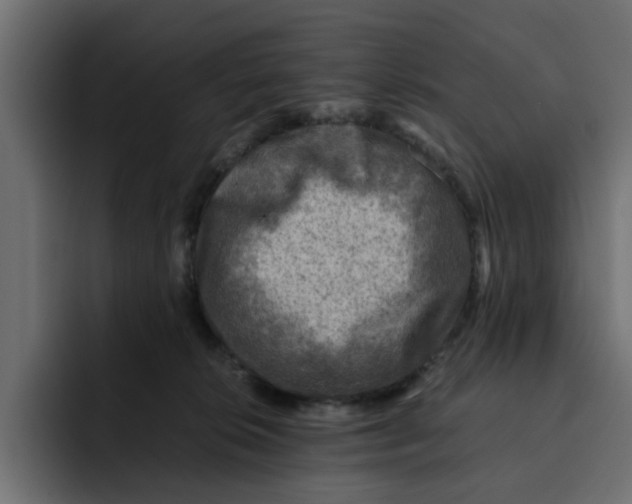 X0000092000276200710041013