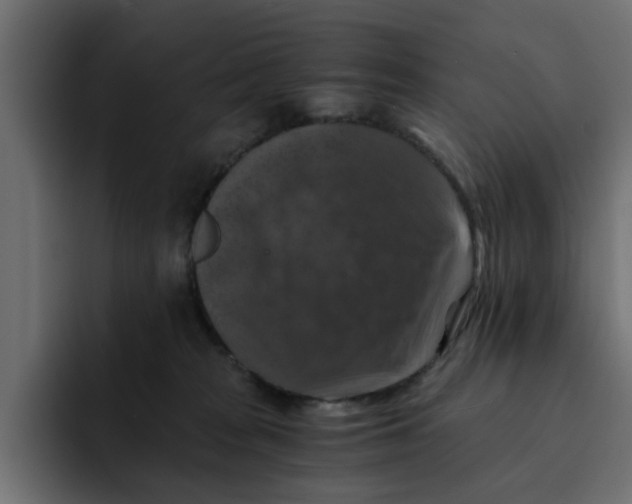 X0000092000277200710041013