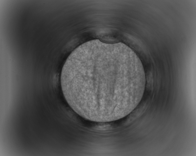 X0000092000278200710041013