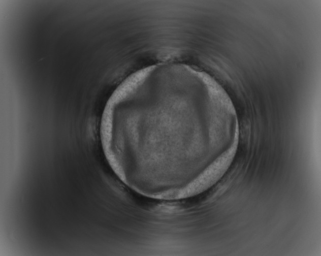 X0000092000280200710041013