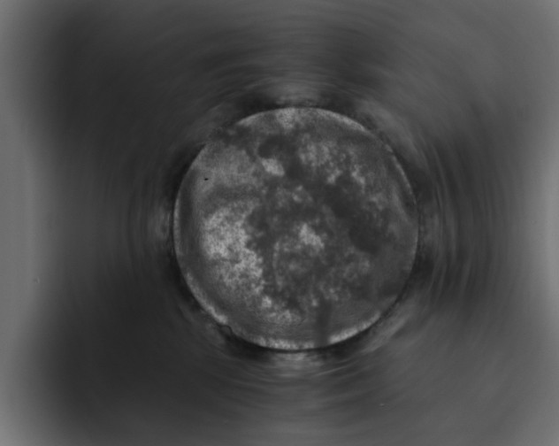 X0000092000281200710041013