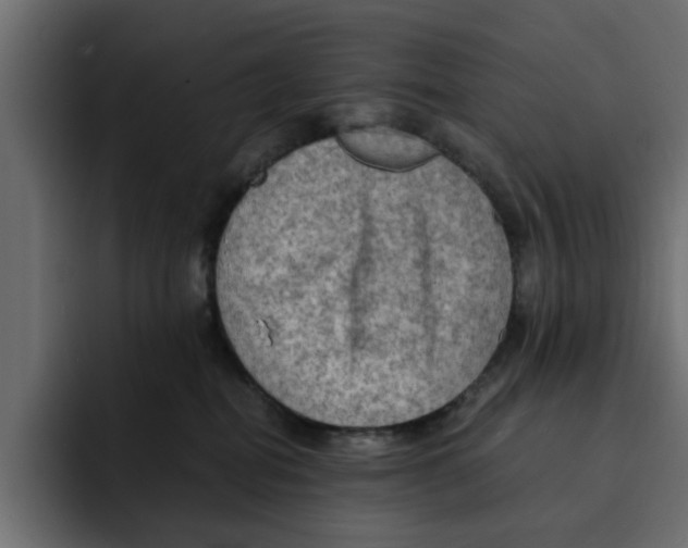 X0000092000282200710041013