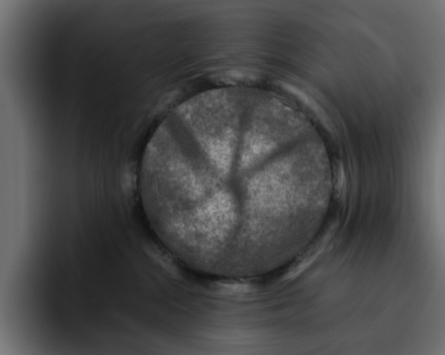 X0000092000284200710041013