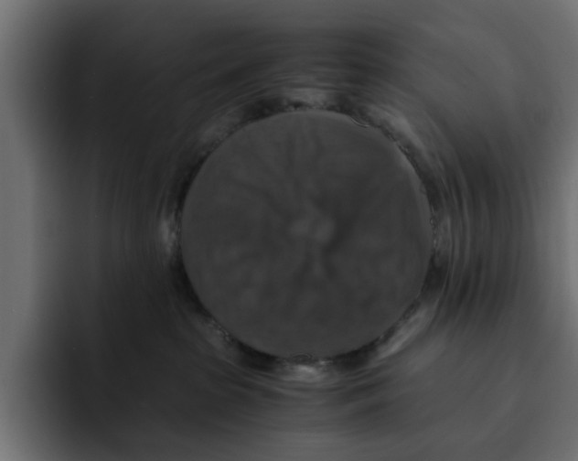 X0000092000285200710041013