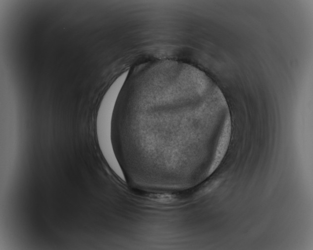 X0000092000288200710041013