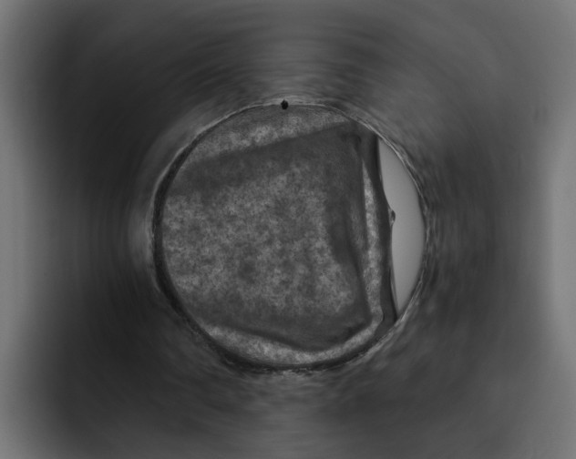 X0000092000290200710041012