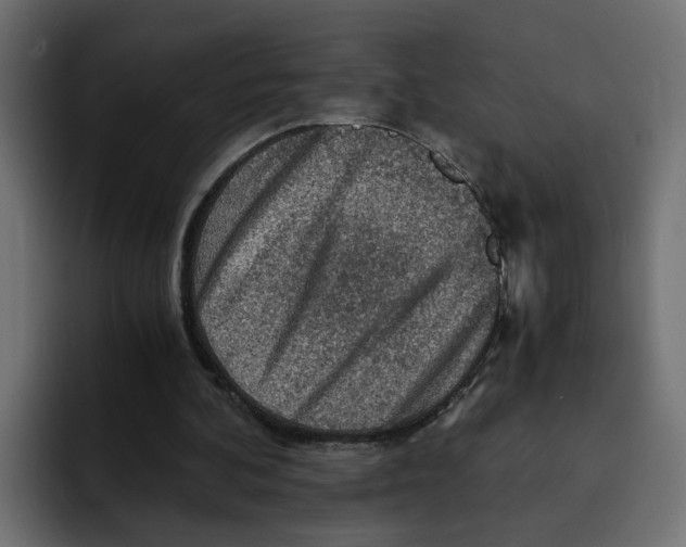 X0000092000292200710041012