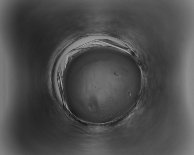 X0000092000293200710041012